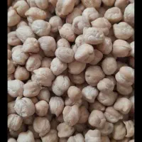 فروش نخود زود پز و درشت
