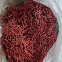 زعفران تربت