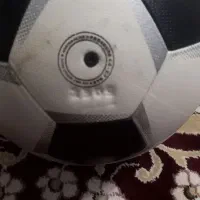 توپ چمن|ورزشهای توپی|لردگان, |دیوار