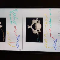 S7 Plus|تبلت|تهران, اقدسیه|دیوار