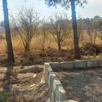 ۵۴۰۰ مترزمین فروشی باسالن کارگاهی|فروش دفتر صنعتی، کشاورزی، تجاری|کهریزک, |دیوار