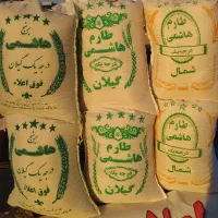 برنج هاشمی،طارم استخوانی،طارم هاشمی گیلان