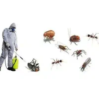 سم پاشی اصولی و تضمینی تخصصی کل اصفهان