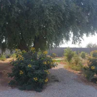 اجاره باغ ویلا مرکز شوشتر|اجارهٔ کوتاهمدت ویلا و باغ|شوشتر, |دیوار