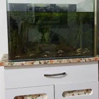 آکواریوم شرکتی