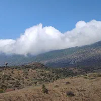 اجاره سوئیت، جنگل گلستان ،روستای دشت|اجارهٔ کوتاه‌مدت آپارتمان و سوئیت|گالیکش, |دیوار