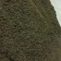 سبزی قرمه سبزی