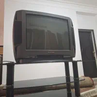 تلویزیون