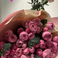 اجاره لاین آرایشگری