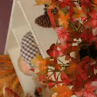 عکاس و فتوشاپ کار خانم ثابت در اتلیه