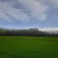 یونجه پرس پاک