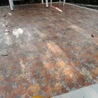 کاشی کار سرامیک کار سنگ کار موزائیک کار|خدمات پیشه و مهارت|عباسآباد, |دیوار