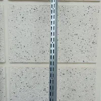 مانکن و رگال