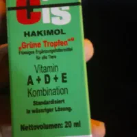 طوطی برزیلی