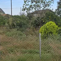 فروش زمین ۳۰۰متر در جاده دالخانی ویو کوه