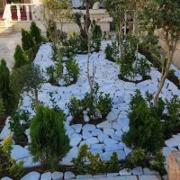 خدمات کاشت و باغبانی|خدمات باغبانی و درختکاری|اصفهان, پروین|دیوار