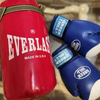 کیسه بوکسEverlast + دستکش اورجینال گرین هیل