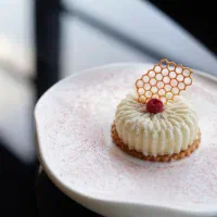 تولیدمحتوا/ادمینی/ادیتور/تصویربردار/طراحی سایت