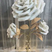 گل رز زیبایی دکوراسیون