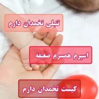 رادیا نسلیم