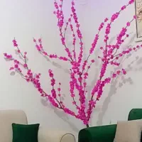 درخچه شکوفه گیلاس