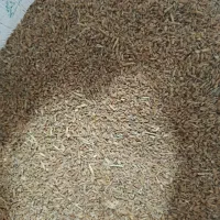 گندم شکسته 2تن. (24500تومن)|عمده‌فروشی|رامشیر, |دیوار