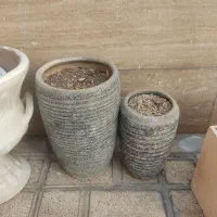 فروش گلدون|گل و گیاه طبیعی|ری, دیلمان|دیوار