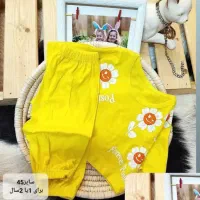 قیمت مناسب