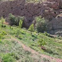 فروش دو قطعه زمین ییلاقی در ارجمند با حق آبه چشمه|فروش زمین و ملک کلنگی|ارجمند, |دیوار
