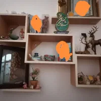 دکور شلف چوبی قفسه کتابخانه
