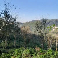 زمین مسکونی/ویلاتو جایی بساز که طبیعت بغلت بگیره|فروش زمین و ملک کلنگی|لاهیجان, لیل|دیوار
