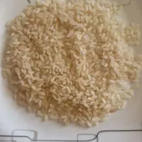 برنج کامفیروزی سوپردرجه یک