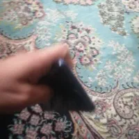 سامسونگ A10|موبایل|تهران, تختی|دیوار