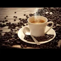 نیروی خانم جهت کار در کافه