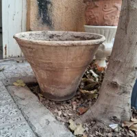 گلدان|گل و گیاه طبیعی|اصفهان, همت‌آباد|دیوار