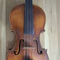 ویولن ویلن ویولون