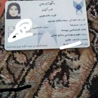 اشیا پیدا شده به نام سما سما، سادات موسوی|اشیا|الیگودرز, |دیوار