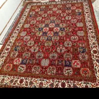 قالی ۱۲متری دست بافت