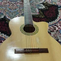 فروش گیتار پیکاپ دار