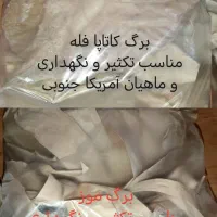 غذای ماهی آرتمیا کاتاپا موز استارتر دکپسوله دافنی|ماهی|مشهد, دانشجو|دیوار