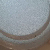 همبرگر زن دستی|ابزارآلات|تهران, یافتآباد|دیوار