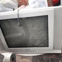 تلویزیون|تلویزیون و پروژکتور|قائمشهر, |دیوار