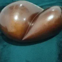 تار دو مهر بهرام|سازهای سنتی|اسلام‌شهر, سیمرغ|دیوار