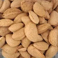 بادوم مامایی پوست کاغذی