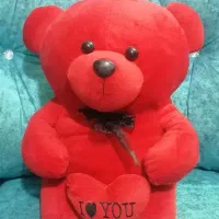 عروسک|اسباب‌بازی بچه|پرند, فاز ۵|دیوار