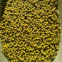 ماش ارتشی به شرط پخت|خوردنی و آشامیدنی|مبارکه, |دیوار