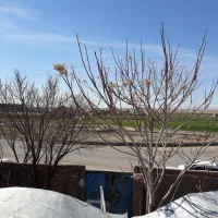 سوله|فروش زمین و ملک کلنگی|زاویه, |دیوار