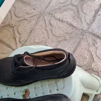 فروش کفش سایز ۳۸|کیف، کفش، کمربند|شیراز, لاله|دیوار