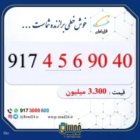 917-110-9363|سیم‌کارت|شیراز, معالی‌آباد|دیوار