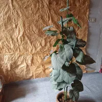 آباژور و گل و تابلو فرش|تابلو فرش|کنگاور, |دیوار